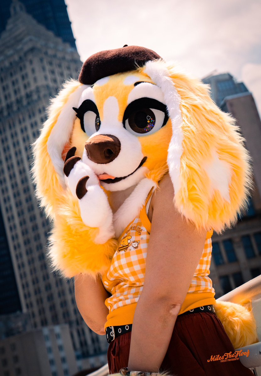 Why hello there~ 💛🐶🍮

📸: <a href="/MilesTheFloof/">Miles 🔜 Furrydelphia</a>