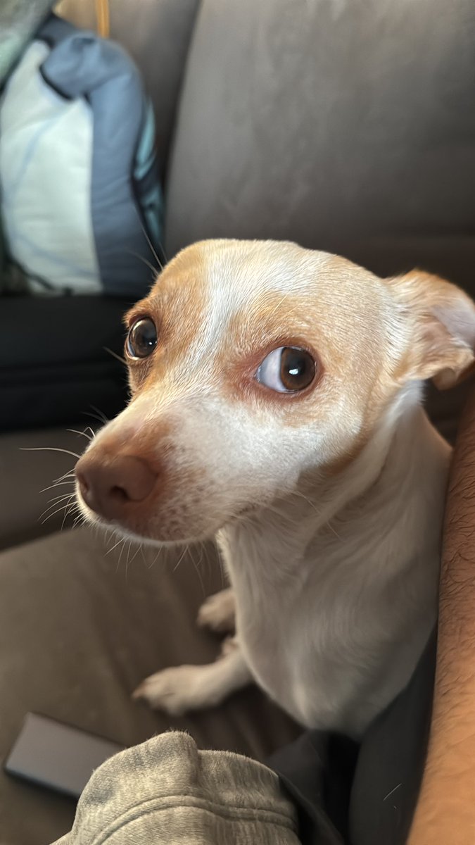 <a href="/love4skpp/">Montse ⋆˙⟡</a> No, toy en mi casita con grogu