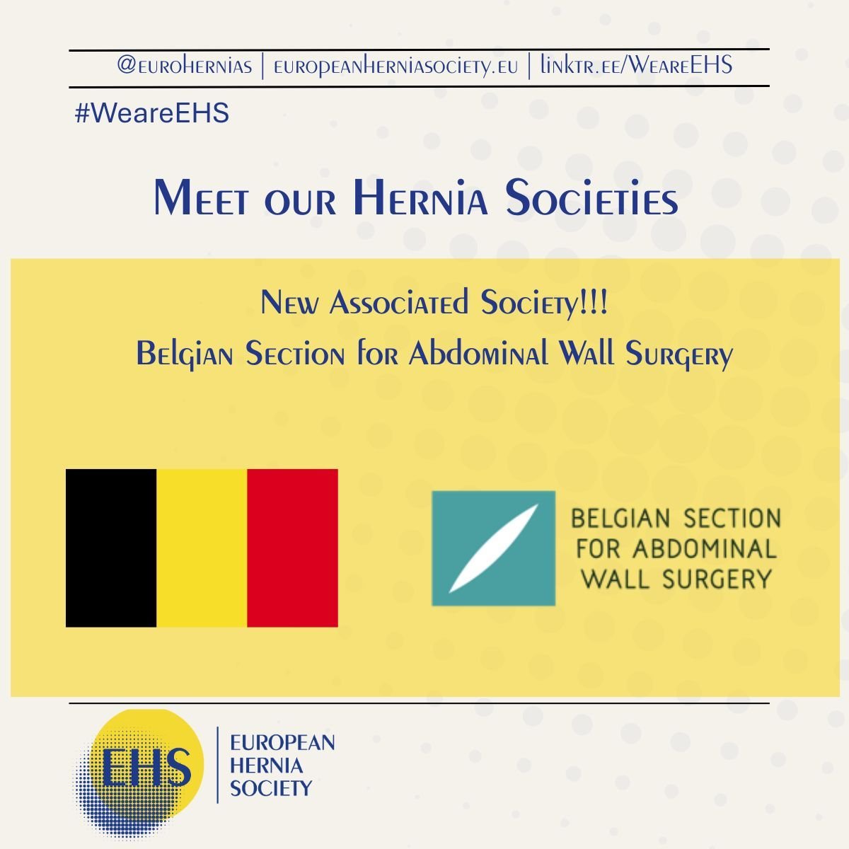 🇧🇪 Meet Our Partners
The Belgian Section for Abdominal Wall Surgery is now an official Associated Society. It brings together around 600 members committed to advancing abdominal wall surgery. Check their Website here
bit.ly/4l6g1kB