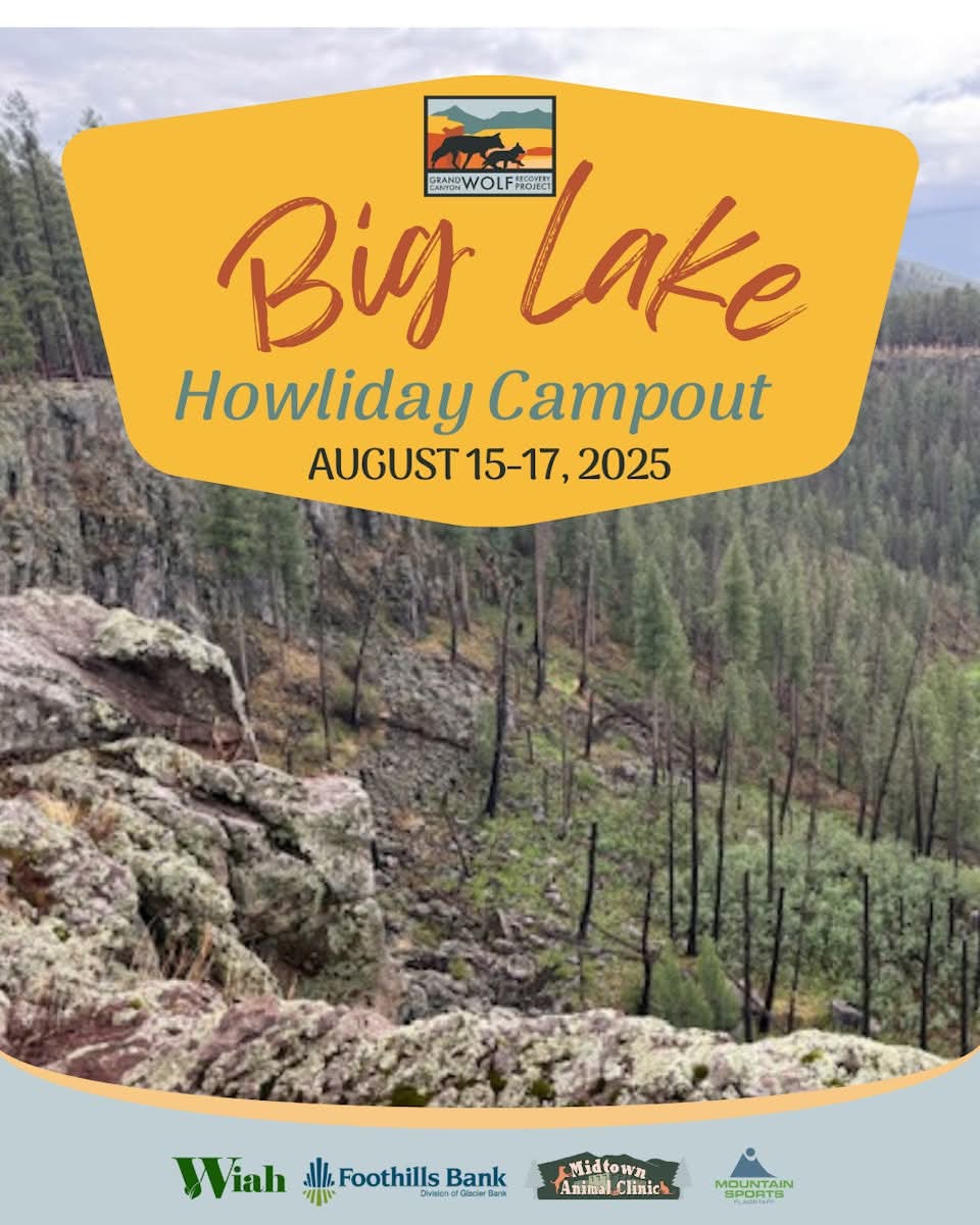 🚗 Just 7 car spots left for Big Lake!
We’re almost sold out! There are only 7 parking spaces left, so come with friends and family, and please carpool if you can.
secure.lglforms.com/form_engine/s/…
🕛 Registration closes Monday, Aug 4, at noon.
The full event program will be emailed Monday