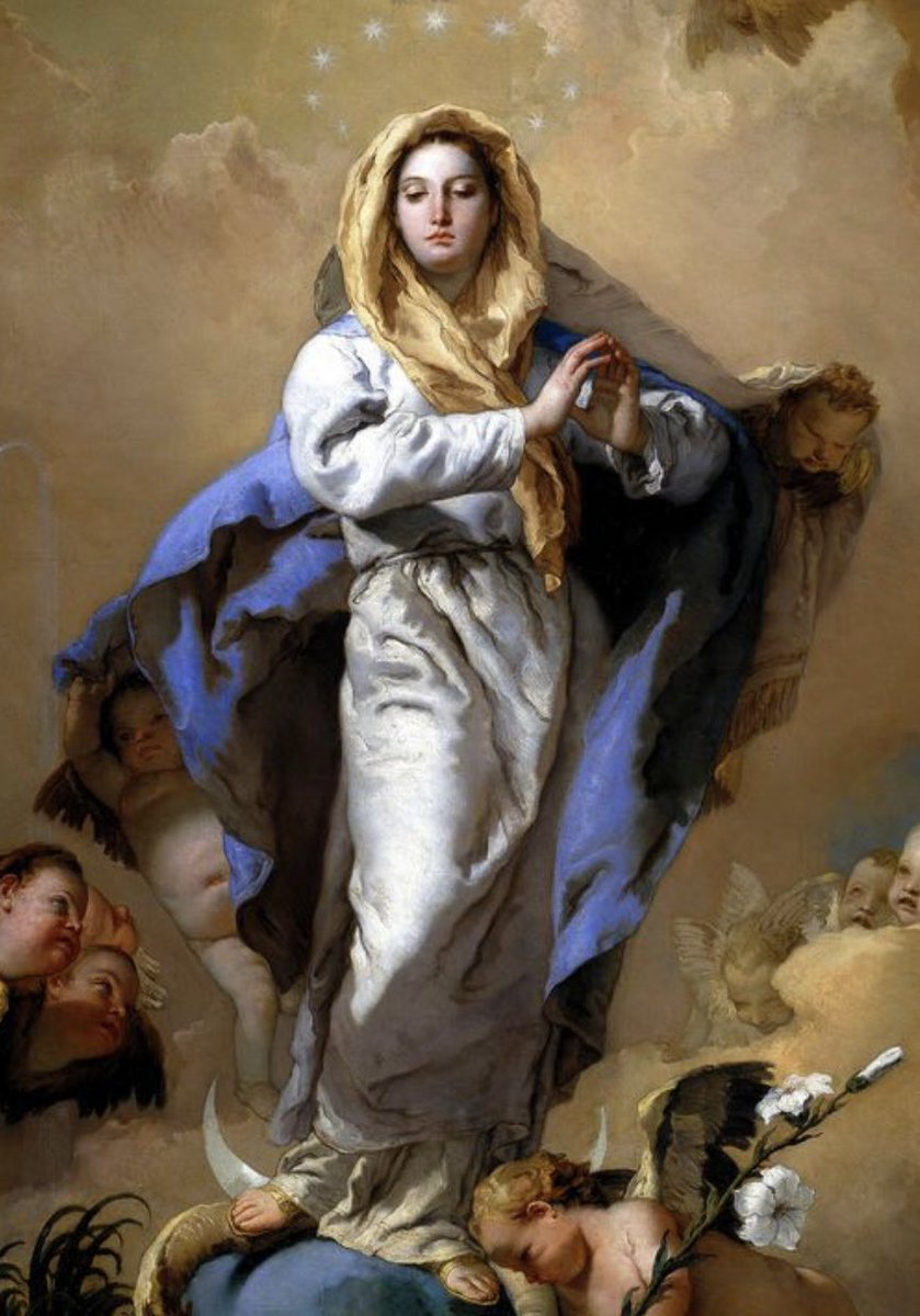 That Trad Gal tweet media