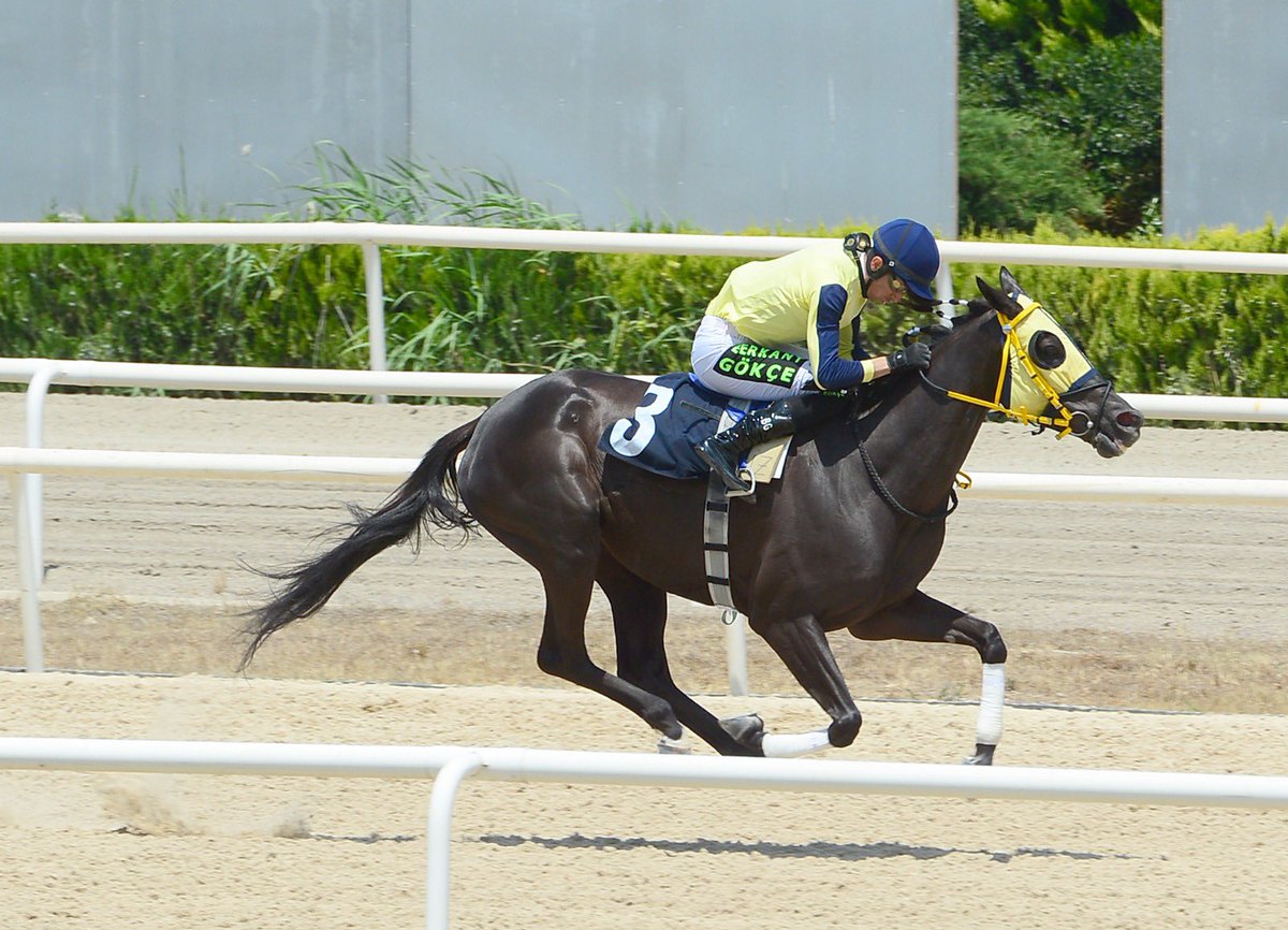 NassGOSTERISLI's tweet image. Turkish airlines :)
@berkantgokceee 
&amp;amp;
My sarayyerlım
