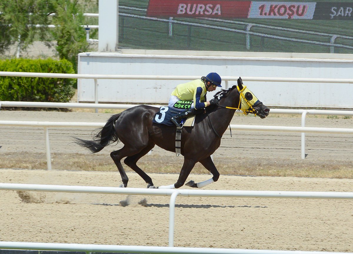 NassGOSTERISLI's tweet image. Turkish airlines :)
@berkantgokceee 
&amp;amp;
My sarayyerlım