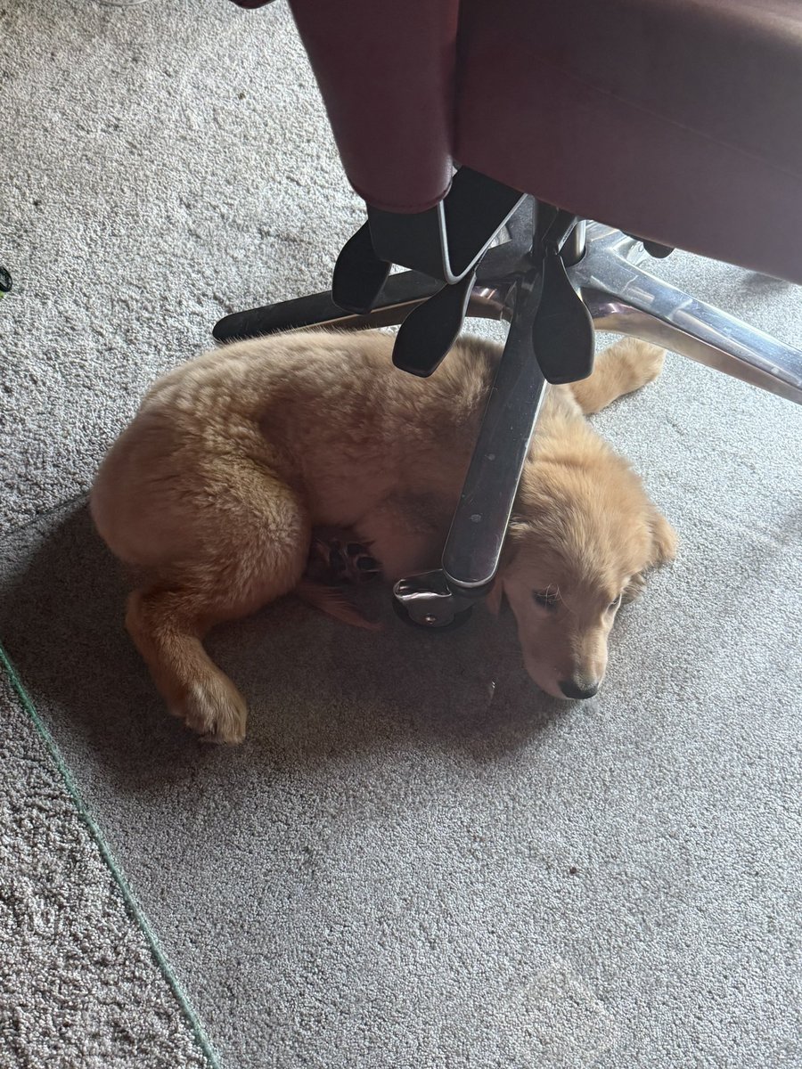 Tectone's tweet image. Bro is tryna kill Himself