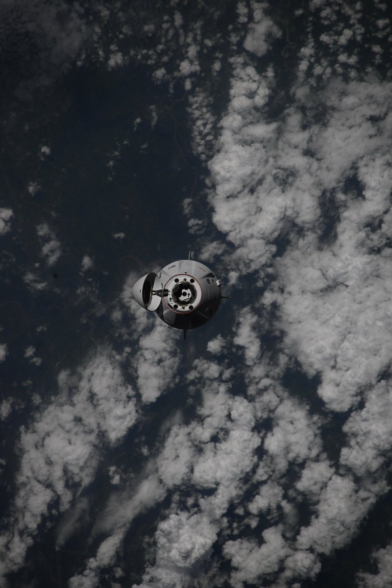 Astro_Ayers's tweet image. I got the best wake-up call ever this morning when we found out Crew-11 was going to be a little early! They made it safely to the @Space_Station, and it was a beautiful rendezvous (so naturally I had to take a few photos). So happy to have our friends on board! Congrats…