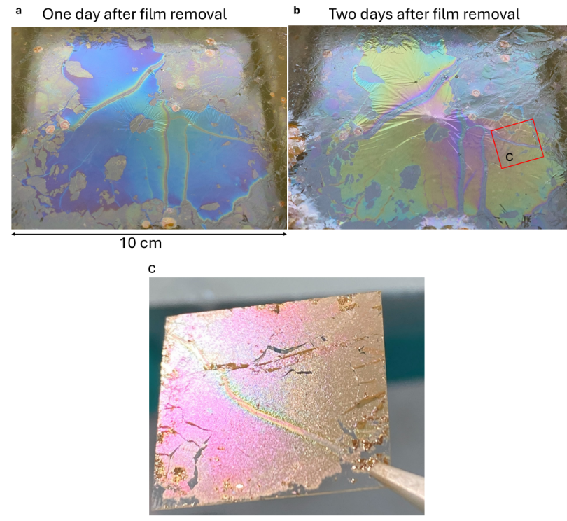 Sha Zhang (张厦) tweet media