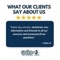 stridepest's tweet image. Fast. Friendly. Thorough.
From same-day service to technicians who truly listen and explain everything — that’s the Stride standard. 🛠️🪳

#StridePestControl #PestFreeLiving #TopNotchService #SameDayPestControl #TrustedTechs