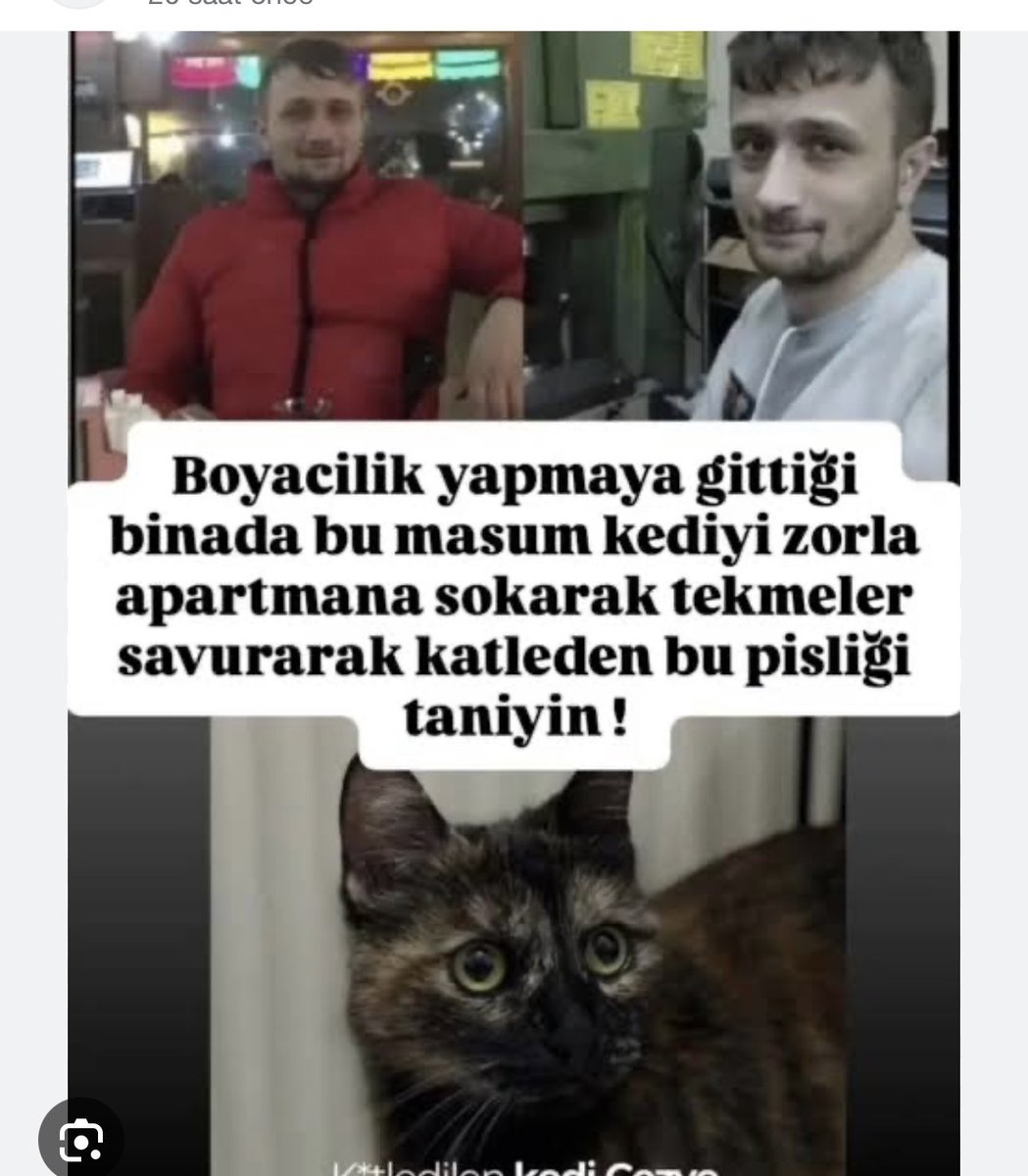 #BurakAlanTutuklansın sayın yetkilerimiz bu emsal karar  olsun içerden çıkarmayın uyuşturucu içen belkide satan bir müptezel bu adam dışarı çıksa hala aynı şeyleri yapacak  bu katil herif  insanların artık kafasında böyle canilerin ağır cezalar alacağı kalsın ve adalete güveni