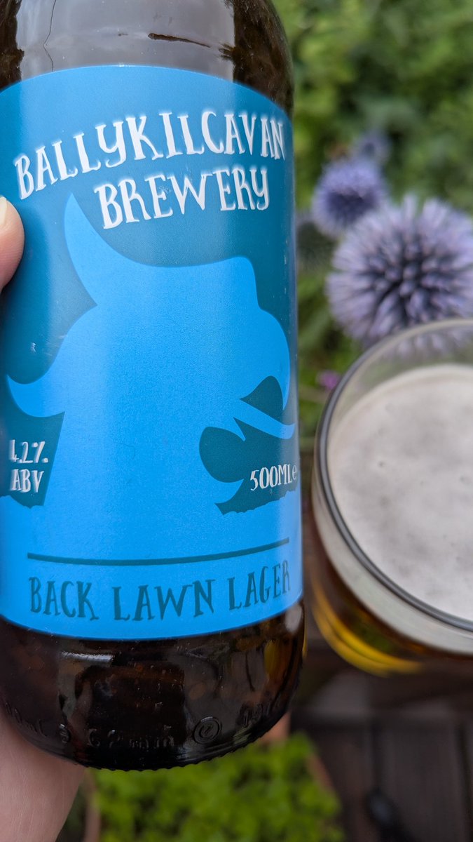 Starting Saturday beers on the back lawn... <a href="/Ballykilcavan/">Ballykilcavan</a> Back Lawn Lager. Cheers all.
