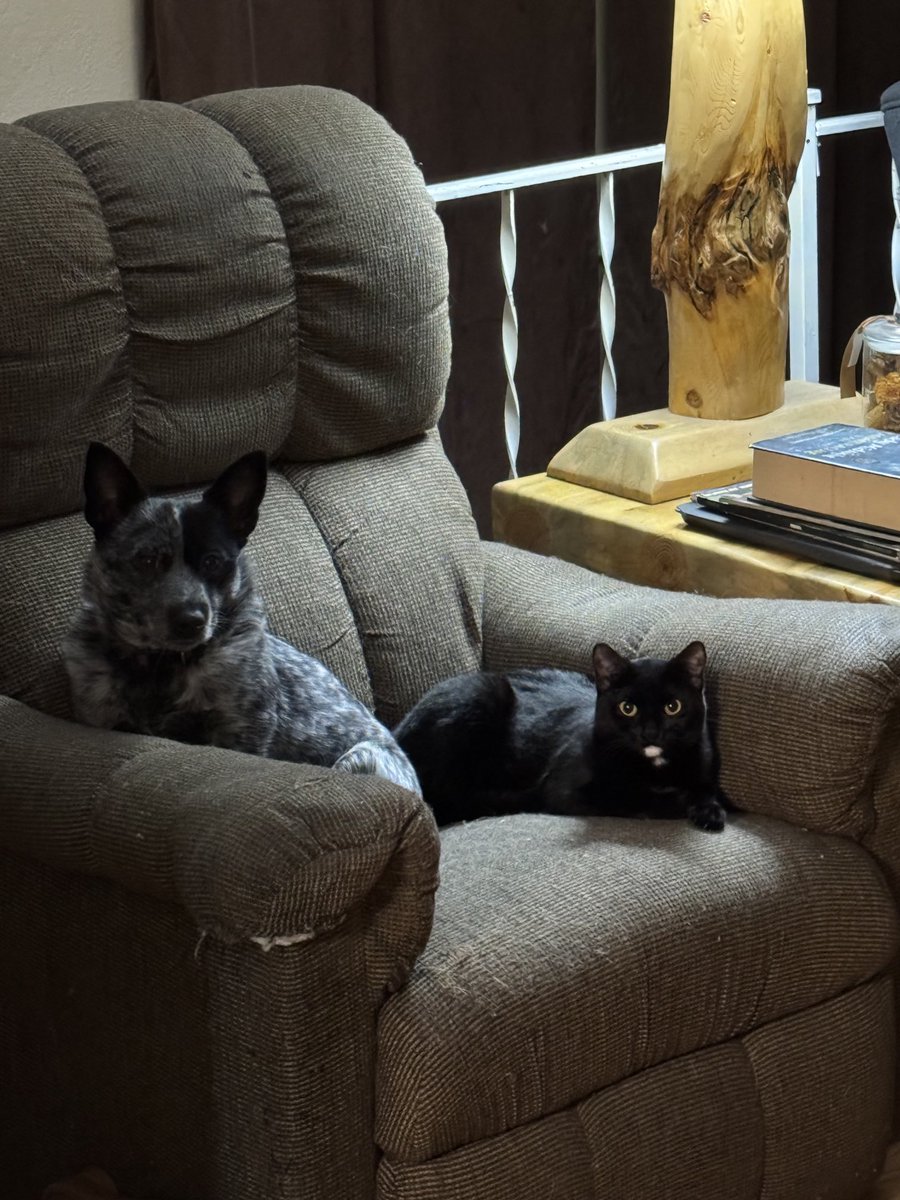 Those liars! They do get along.