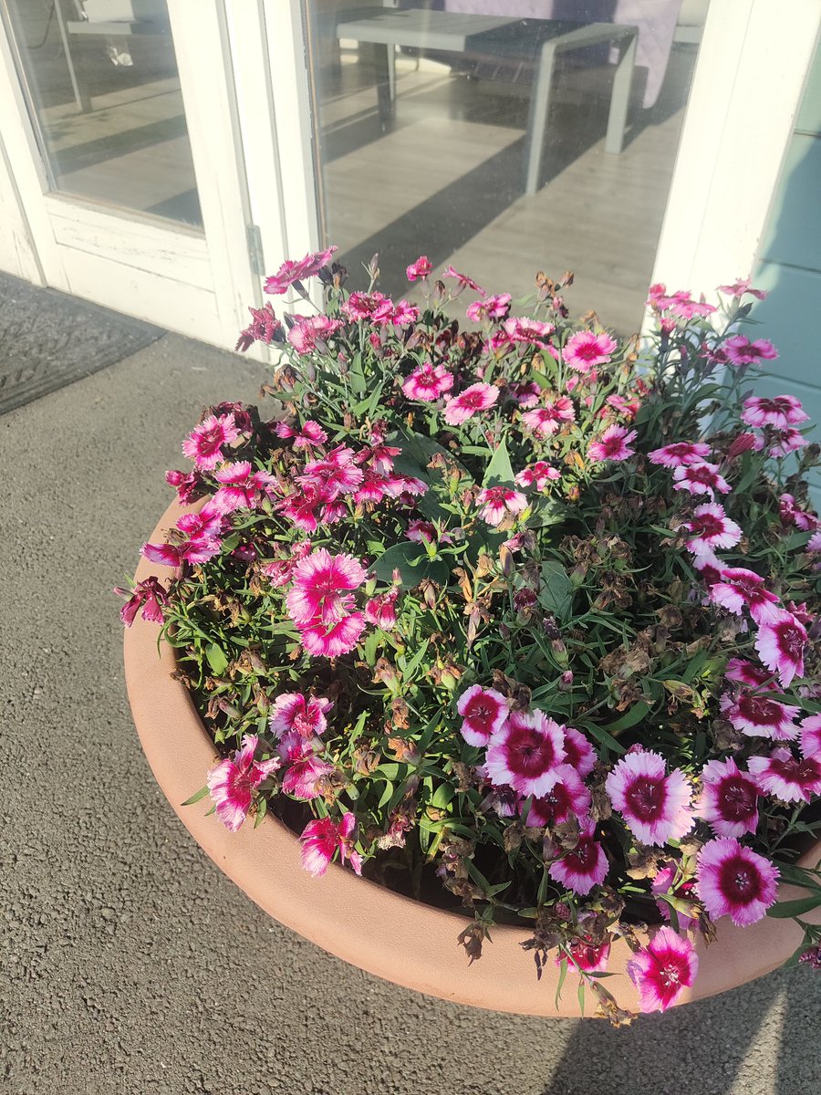 I wish this was smellovision