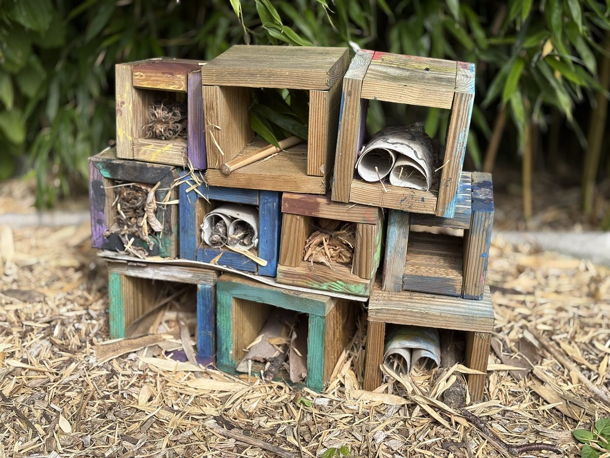McgrawLabrador's tweet image. Don’t you just love a good bug hotel?
 #Nature #Minibeasts @Aneeshwar_K @ParkWingham #SimpleThings #Insects
