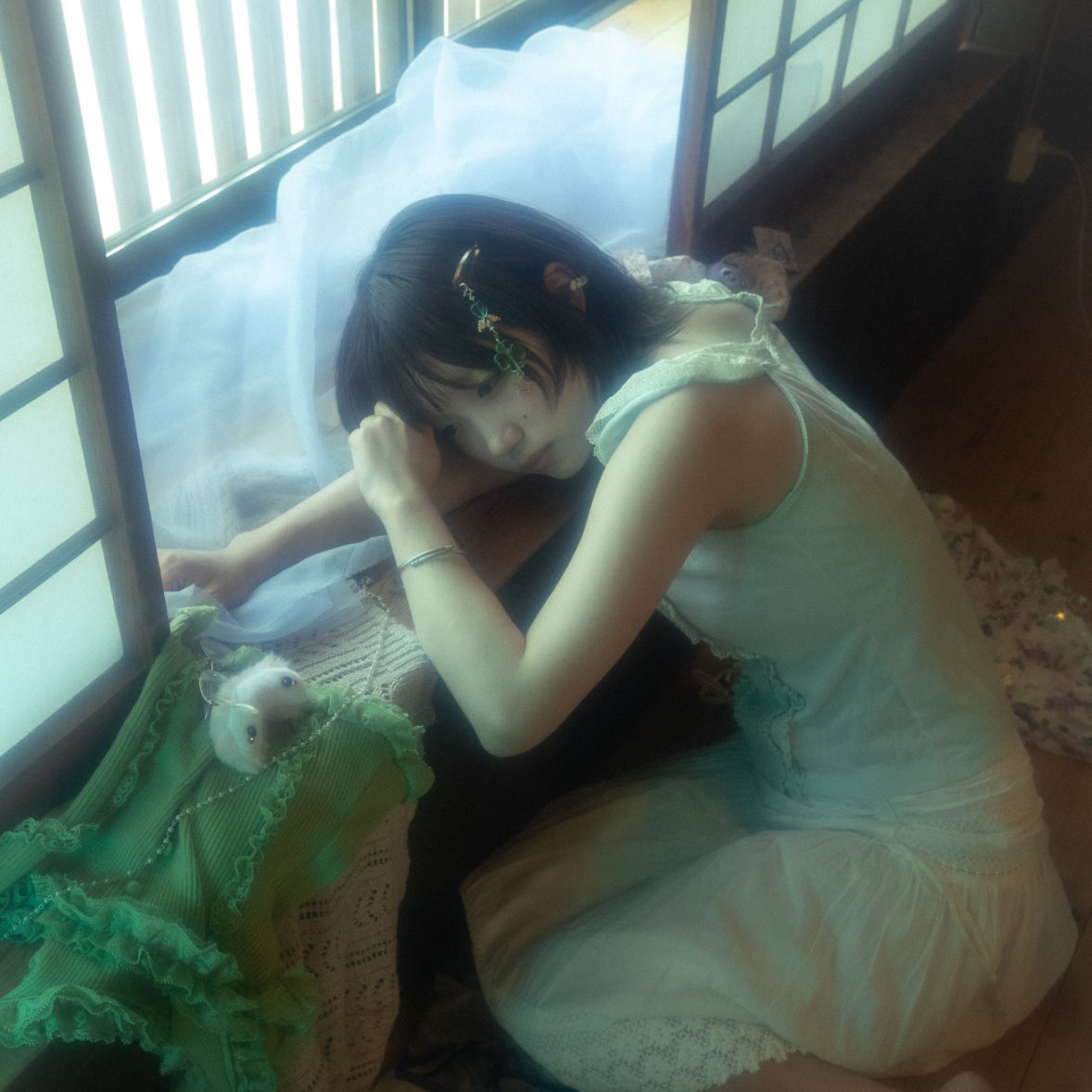 のいにゃんこ🍀ひんやり団地 (@hinyaridanchi) on Twitter photo 素敵な写真撮っていただきましたஐ♡⋆* 素敵な写真撮っていただきましたஐ♡⋆*
