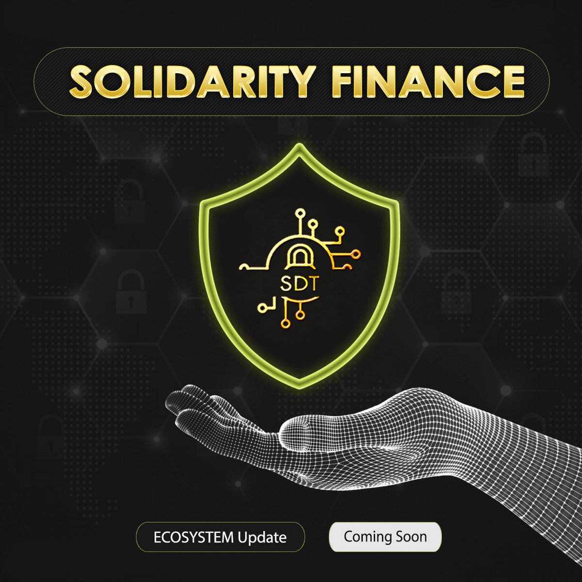 Good evening, Sdt family.

Update on the solidarity finance ecosystem.

Coming soon