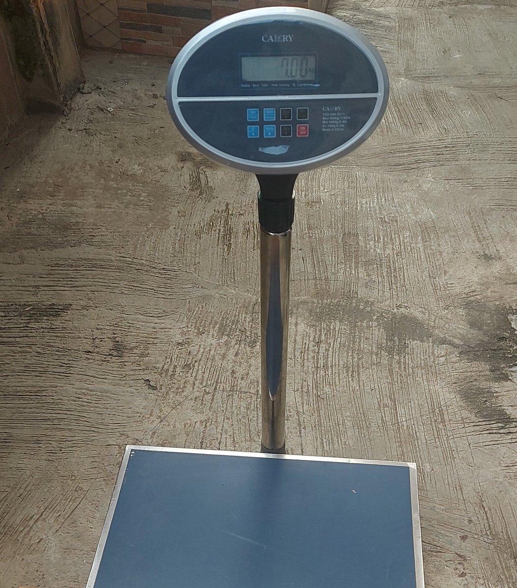coco money, run this weighing scale for me,  it's for my logistics/cargo business