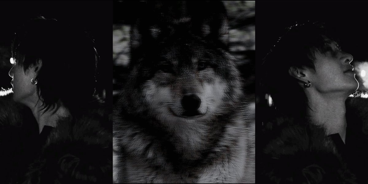 badbangwolf's tweet photo. https://t.co/AV5ip0xhCD