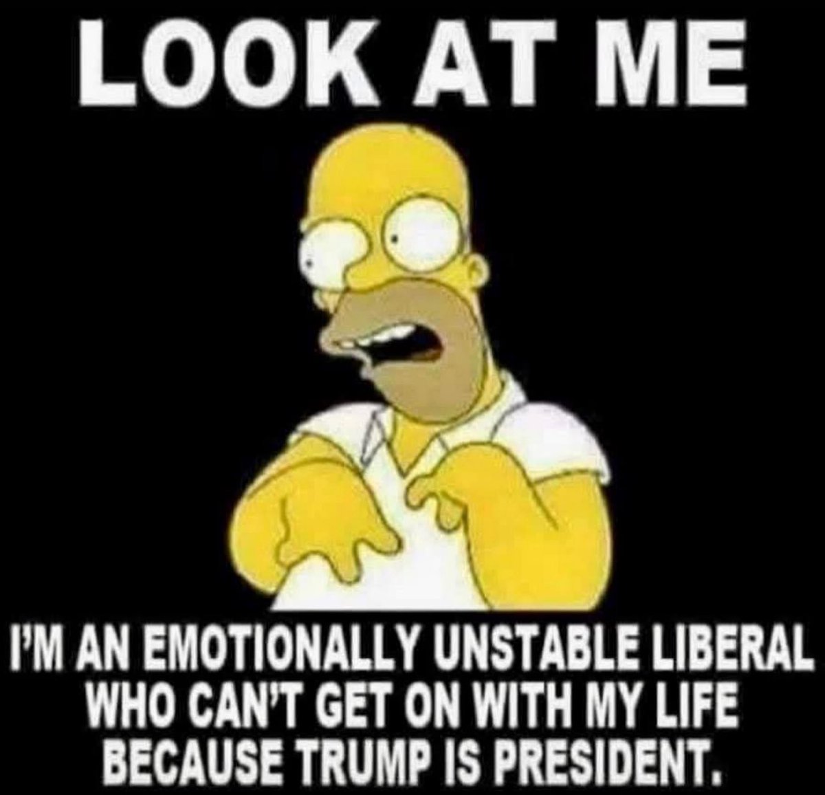 Scotts_Doernte's tweet image. 