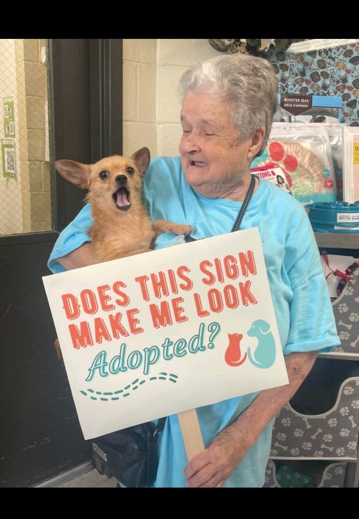 Kris Chante (@chante35184) on Twitter photo 