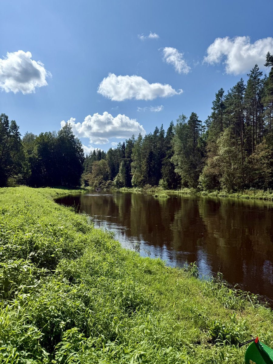 Šogad upē ūdens vismaz +1m. 

Brīnišķīga diena. Iesaku Salacu laivošanai. Būs skaisti

3/