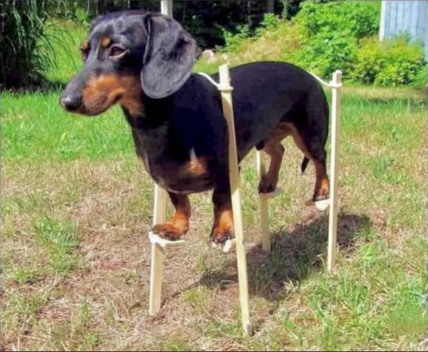 Michel MÉNARD tweet media