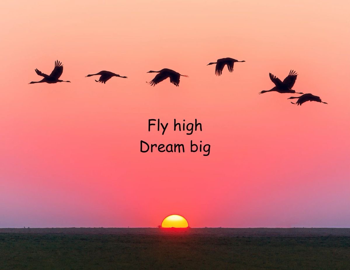 11:11
🌻
Lots of love happiness n good health 🧿

<a href="/karanvirsharma9/">Karanvir Sharma</a>