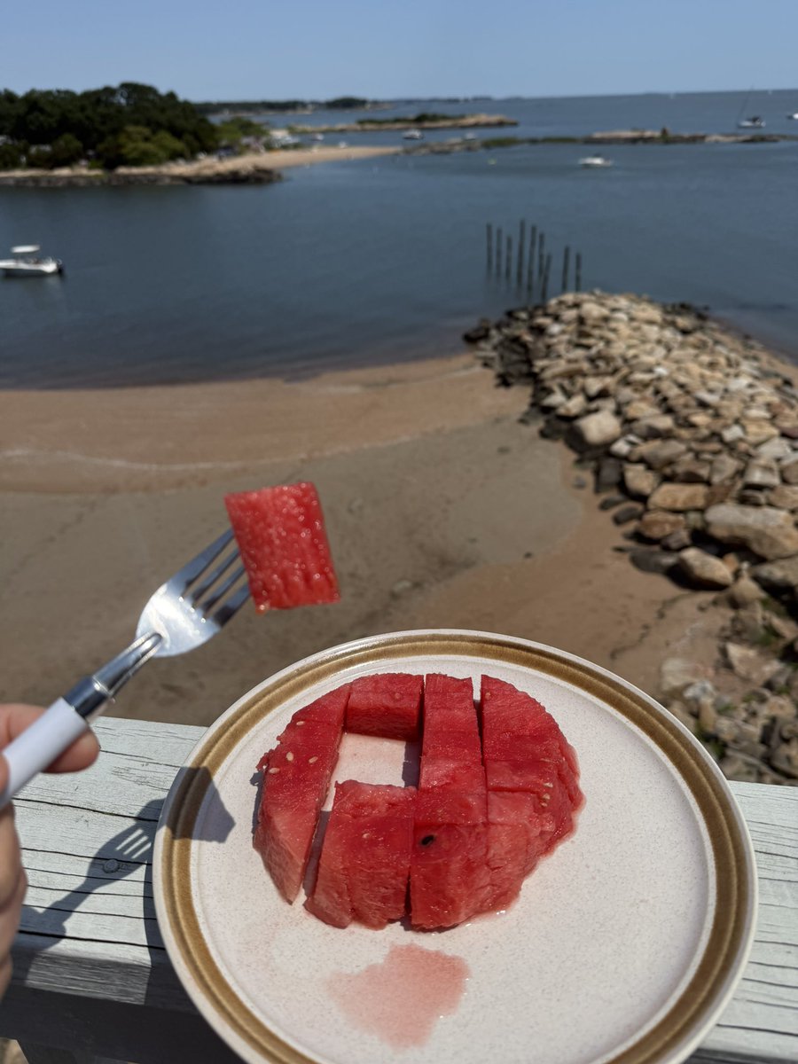 Amer Zeidan MBBS,MHS ‏عامر زيدان (@dr_amerzeidan) on Twitter photo 