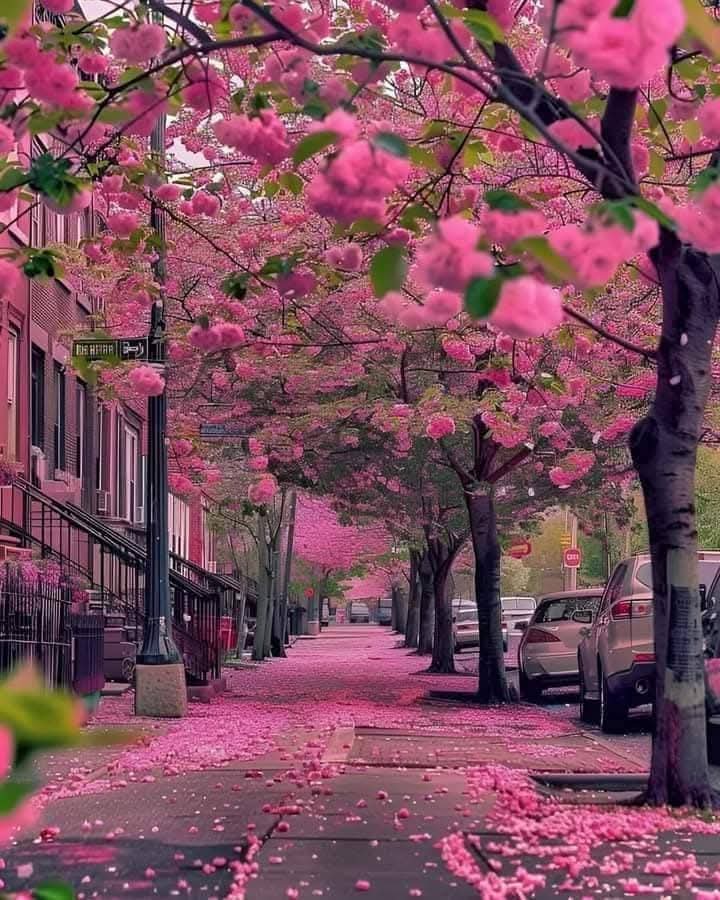 ساری خوشیوں سے اجنبی ہو کر
اک ترے غم سے روشناس رہیں
آج جی ہے کہ تجھ کو یاد کریں
اور پھر دیر تک اداس رہیں
#اردو_زبان