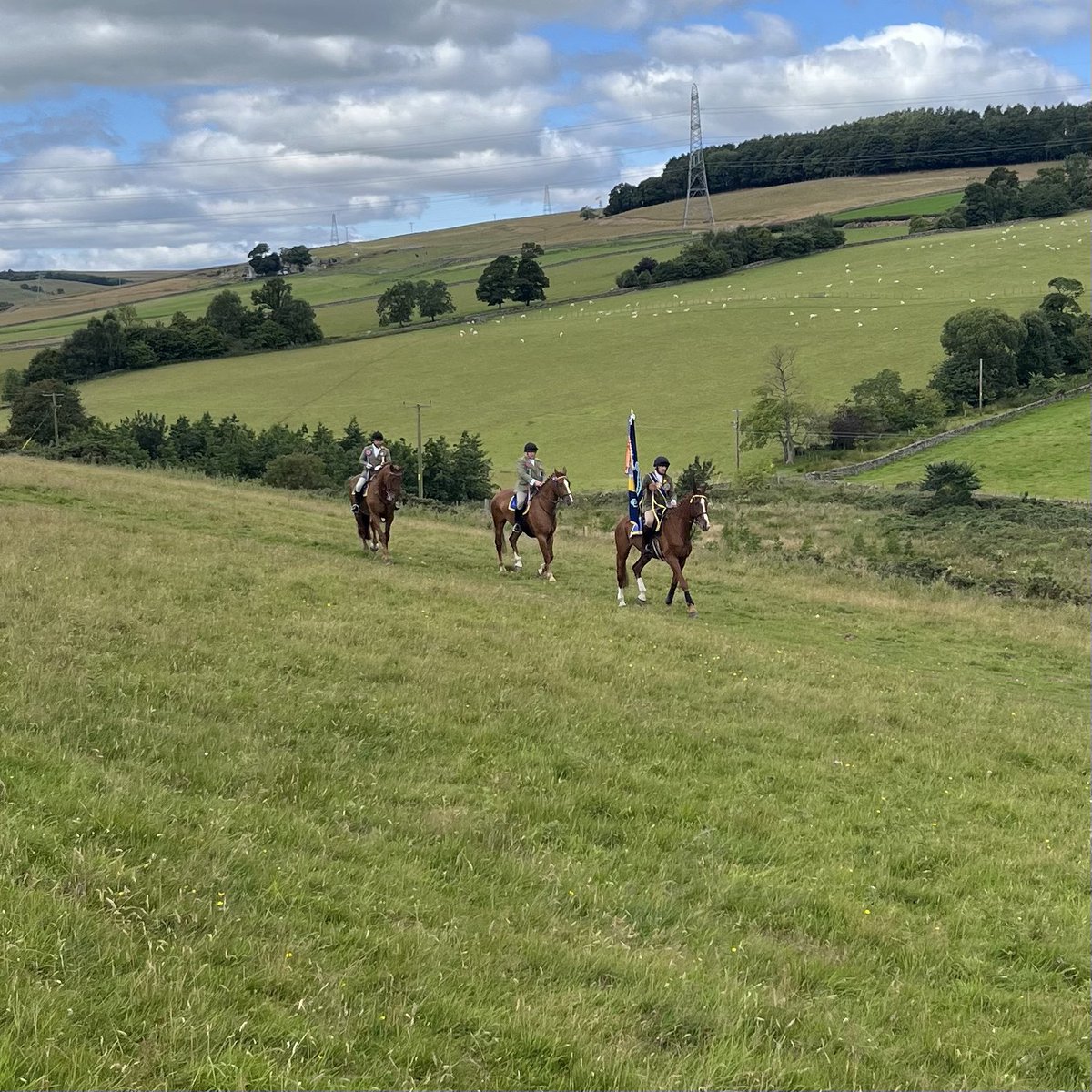 Katy Mowat tweet media