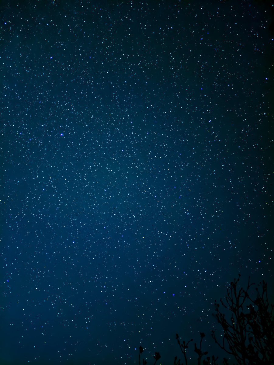 Post a picture of the stars you took ✨