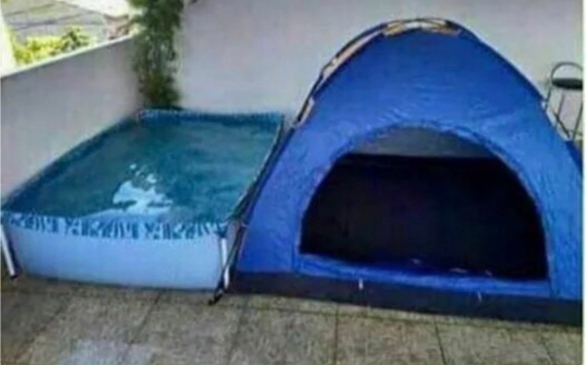 sofia ッ tweet media