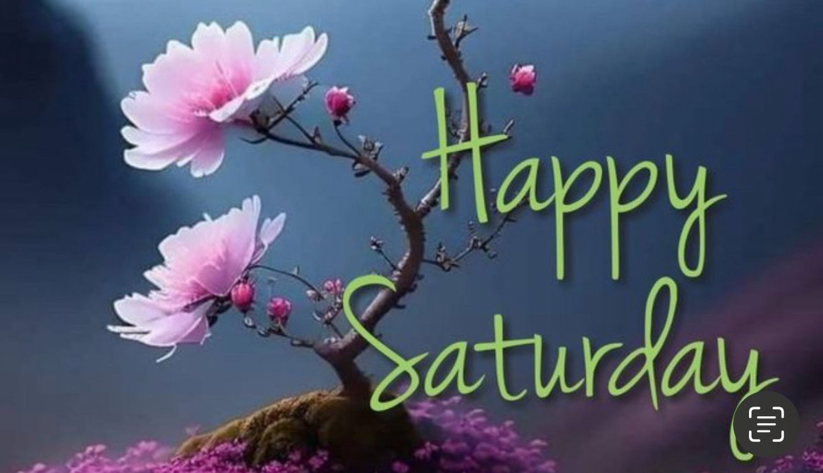 Have A Super Saturday!!