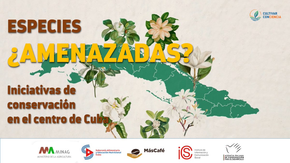 Cultivar Conciencia (@cultivaciencia) on Twitter photo En <a href="/topesdcollantes/">Topes de Collantes</a> encontramos iniciativas que sostienen la conservación de especies endémicas cubanas. La Magnolia acunae es una de ellas. Resulta un ejemplo del trabajo colaborativo entre botánicos y otros expertos, junto a quienes producen la tierra.
bit.ly/44XYIxi En <a href="/topesdcollantes/">Topes de Collantes</a> encontramos iniciativas que sostienen la conservación de especies endémicas cubanas. La Magnolia acunae es una de ellas. Resulta un ejemplo del trabajo colaborativo entre botánicos y otros expertos, junto a quienes producen la tierra.
bit.ly/44XYIxi