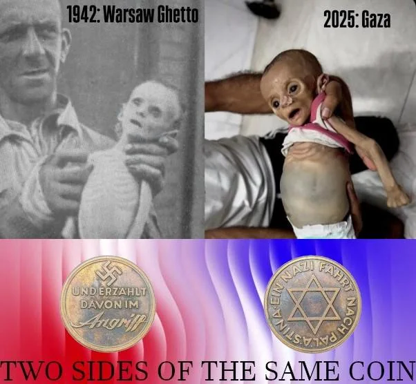 binarypower tweet media