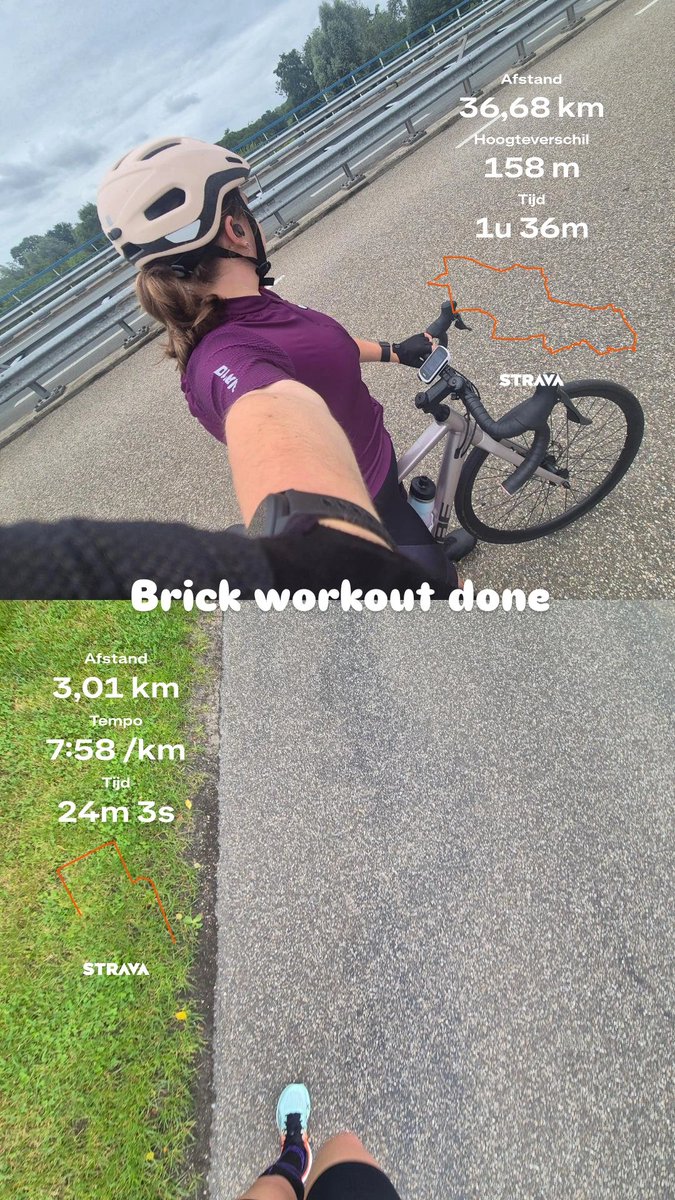 Lupellia tweet media