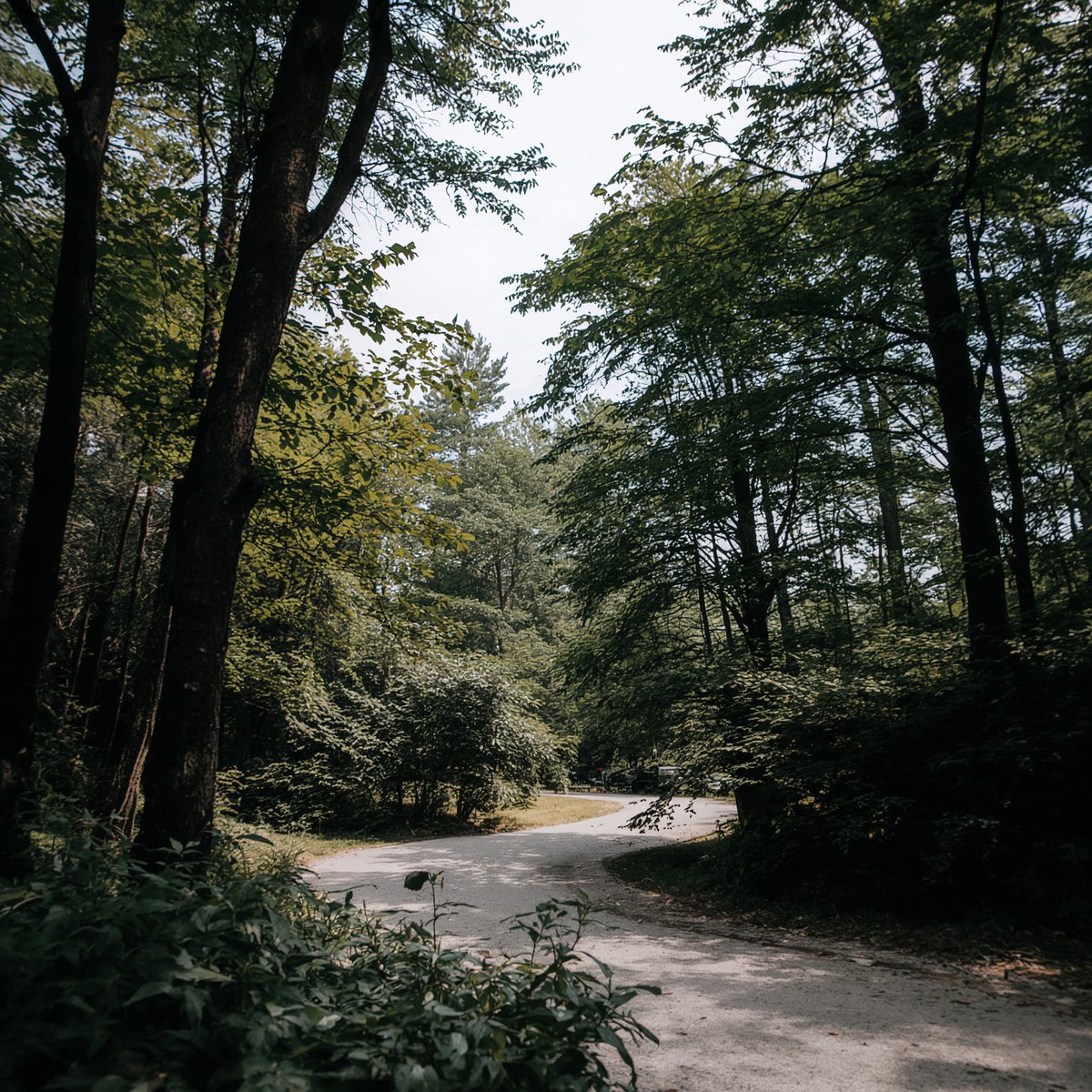 Happy Saturday! 
Market is red as expected. Will post setups for tomorrow or next week. But anyway have a good day recharge!
Touch some grass