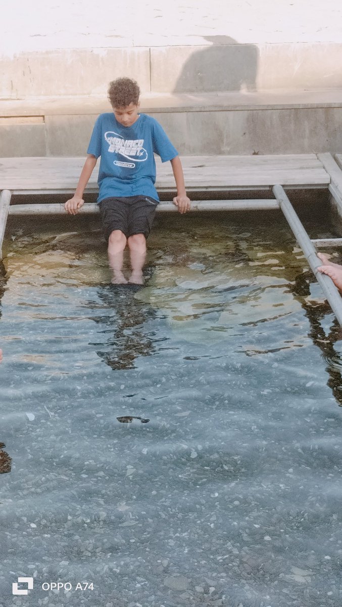 SICAKTAN BUNALANLAR, TÜRKİYE'NİN  EN BÜYÜK İLÇESİ SU ŞEHRİ  GÜRPINAR SİZİ BEKLİYOR 

ikramkali.blogspot.com/2025/08/sicakt…