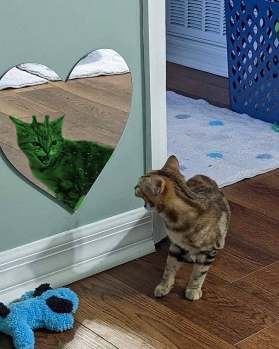 <a href="/glorpcatsol/">glorp</a> Don’t say glorp 3 times in front of a mirror