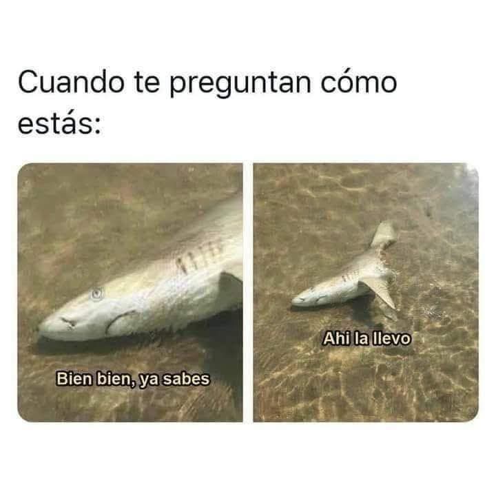 Los días de inventario y cierre de mes 🙃