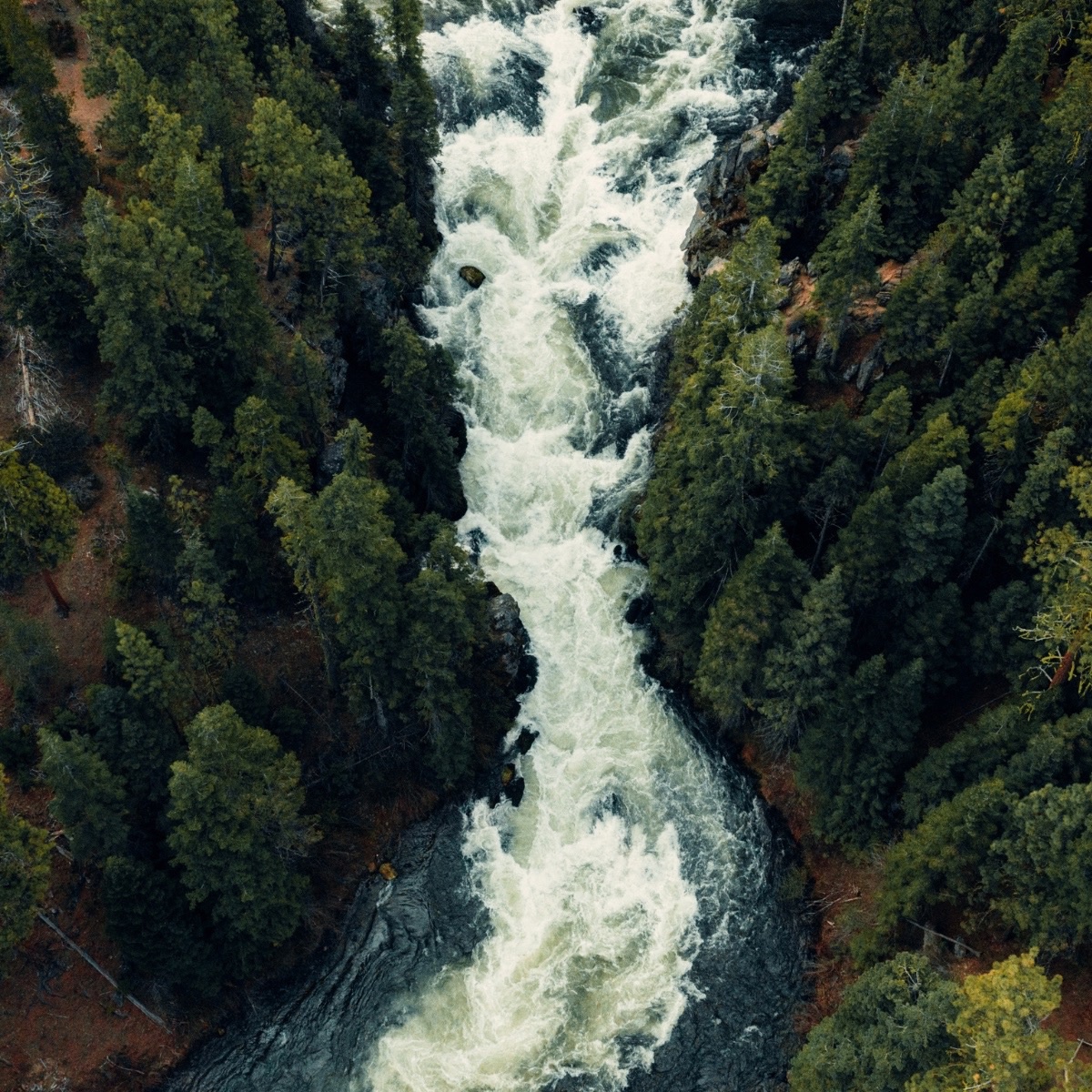 🌎 Environmental protection without government overreach? Yes, it’s possible.

We believe market-based environmentalism isn’t just theory — it works.

✅ Private landowners are often the best stewards of natural resources
✅ Real sustainability begins with individual