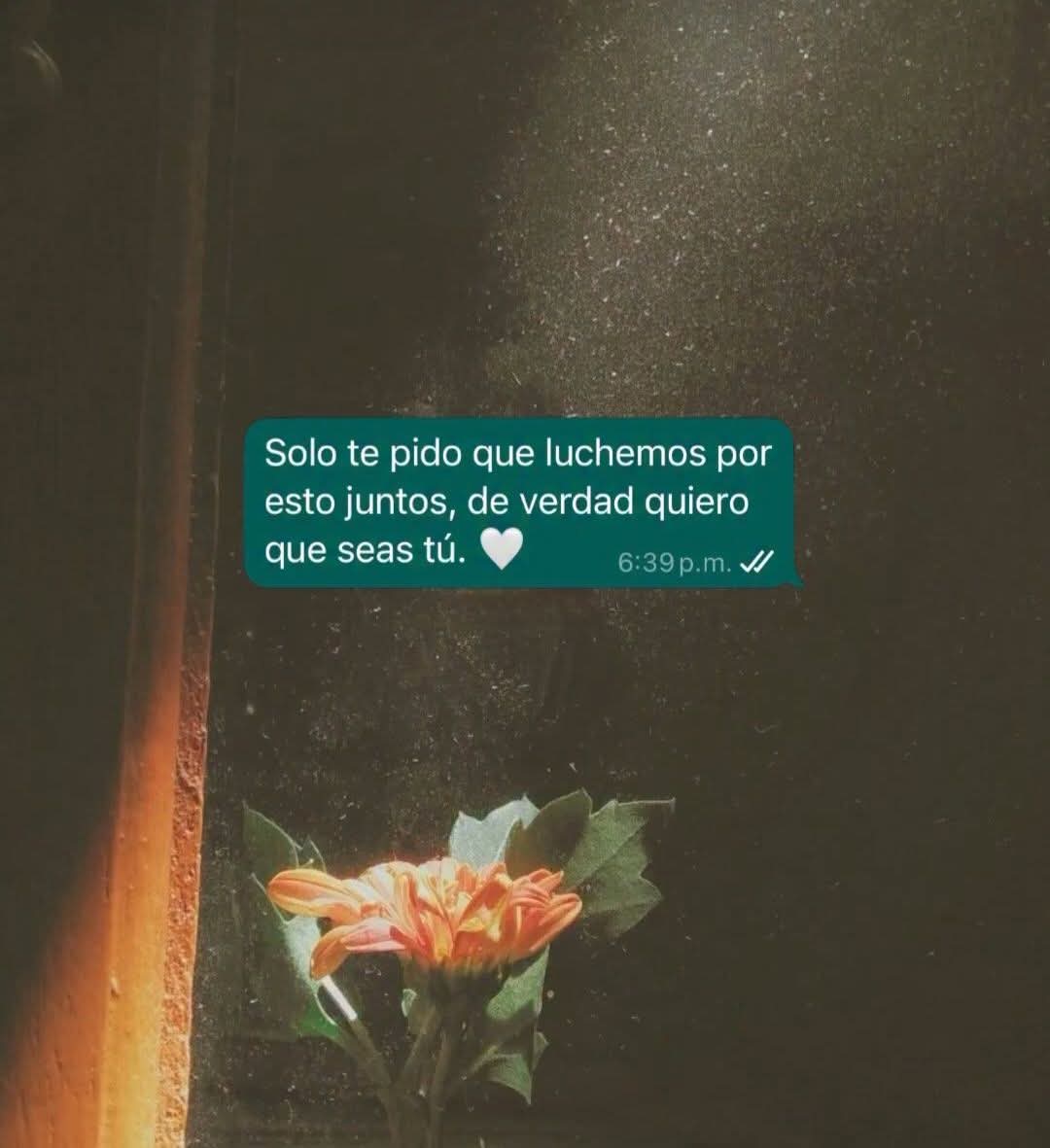 angelo_uf's tweet photo. https://t.co/vpzRzNLfIO