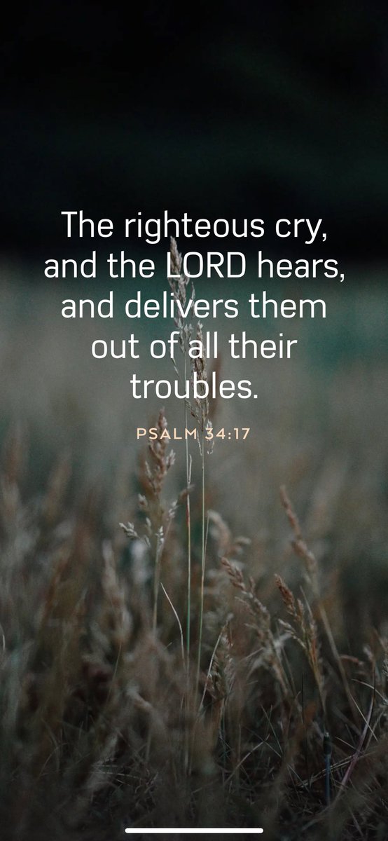 🌺🌺 Before they call I will answer while they are yet speaking I will hear. 🌺🌺
Isaiah 65:24

<a href="/StarxFire/">⭐️🔥star⭐️🔥</a> 
<a href="/MassholeJay/">Jay 🇺🇸🇺🇸🇺🇸</a> 
<a href="/franigenx/">Francine</a> 
<a href="/State9Mac/">Mac</a> 
<a href="/candace_lo70387/">🍭🍭Candace🍭🍭</a> 
<a href="/Jezzebelle2024/">Jezzebelle</a> 
<a href="/Gentleman2741/">The Gentleman🎩</a> 
<a href="/ken_kmak8542/">Ken Kmak @ken_kmak8542</a> 
<a href="/patriotwomenfan/">Patriotic Women</a> 
<a href="/magawarriormike/">MAGA WARRIOR MIKE</a> 
<a href="/MichaelSDoyle/">Michael Doyle</a> 
<a href="/4_0GTS/">X MAGA News (Chris)</a>