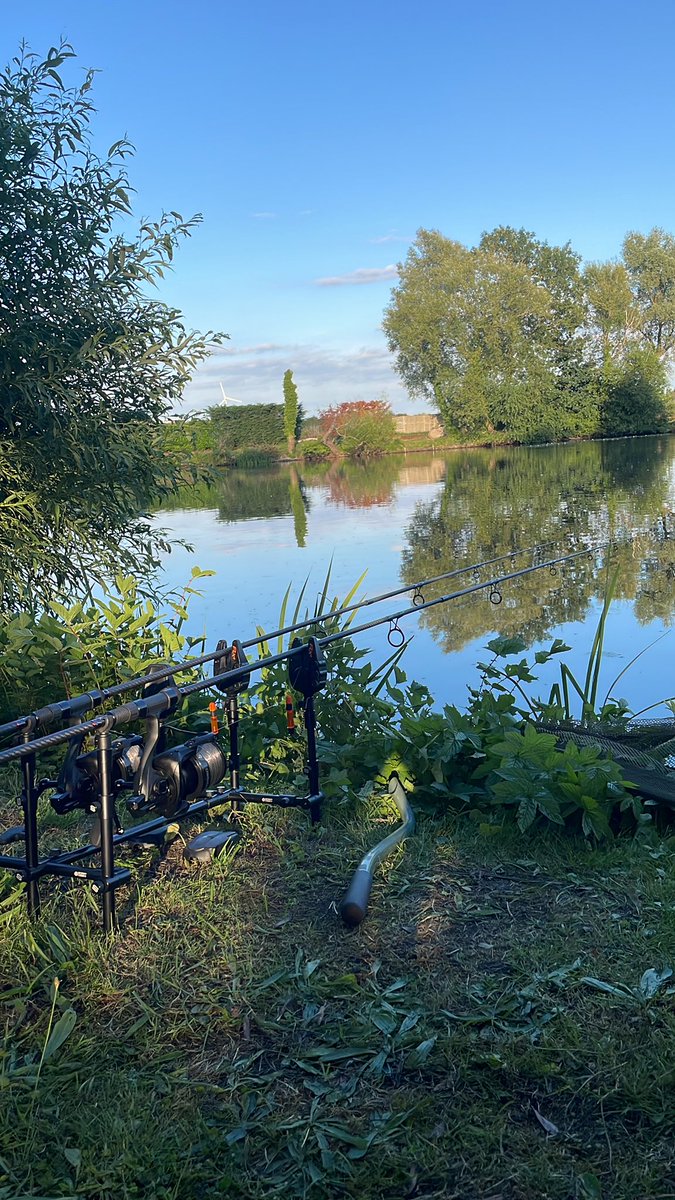 CheshV2's tweet image. Back at it, tranquility.