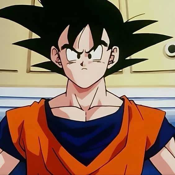 Prove you watched Dragon Ball fan in one sentence
