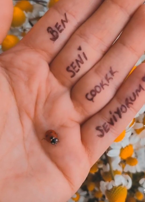 evlilik öncesi mi evlilik sonrası mı?