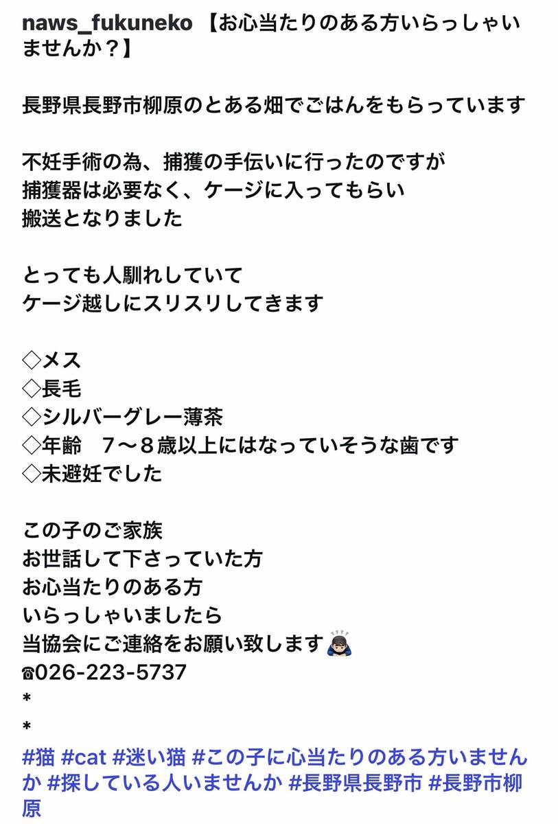 長野県長野市柳原付近で写真の猫ちゃんのことを探してらっしゃるご家族様いませんか⁉️😭

ご家族様が早くお迎えに来てくださりますように😢🙏🙏✨