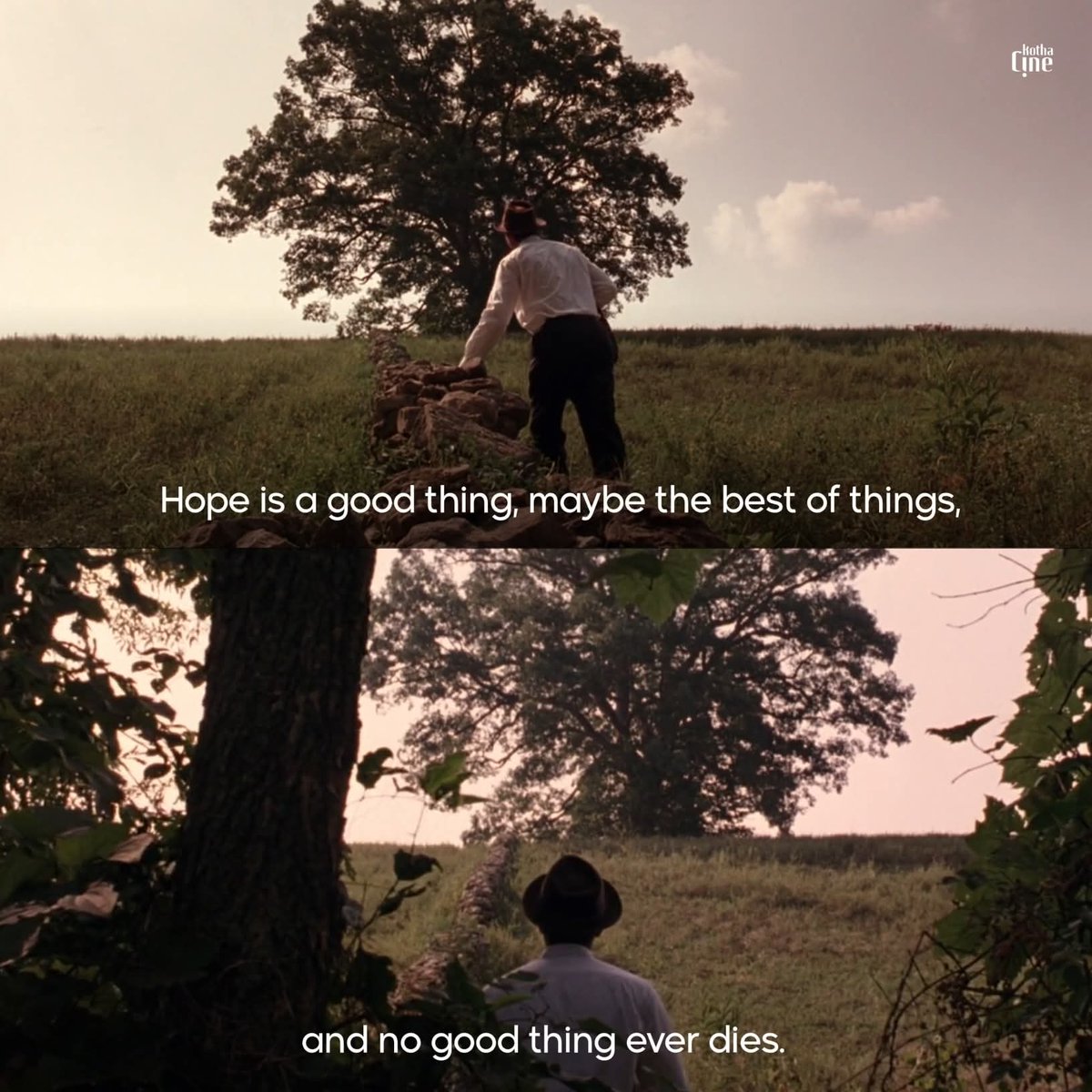 TheCineprism's tweet photo. Shawshank Redemption (1994) https://t.co/Wwu1QIzdrY