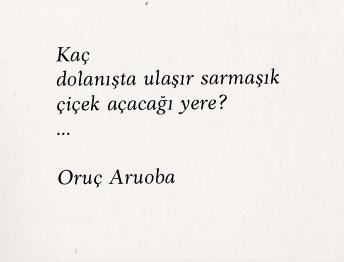 secil  karaca (@secilkrc) on Twitter photo 