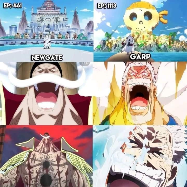 One Piece Daily tweet media