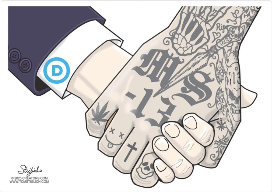 <a href="/RealJamesWoods/">James Woods</a> The Democrats have not been on Team America since they decided to poison the voter roles with illegal aliens.