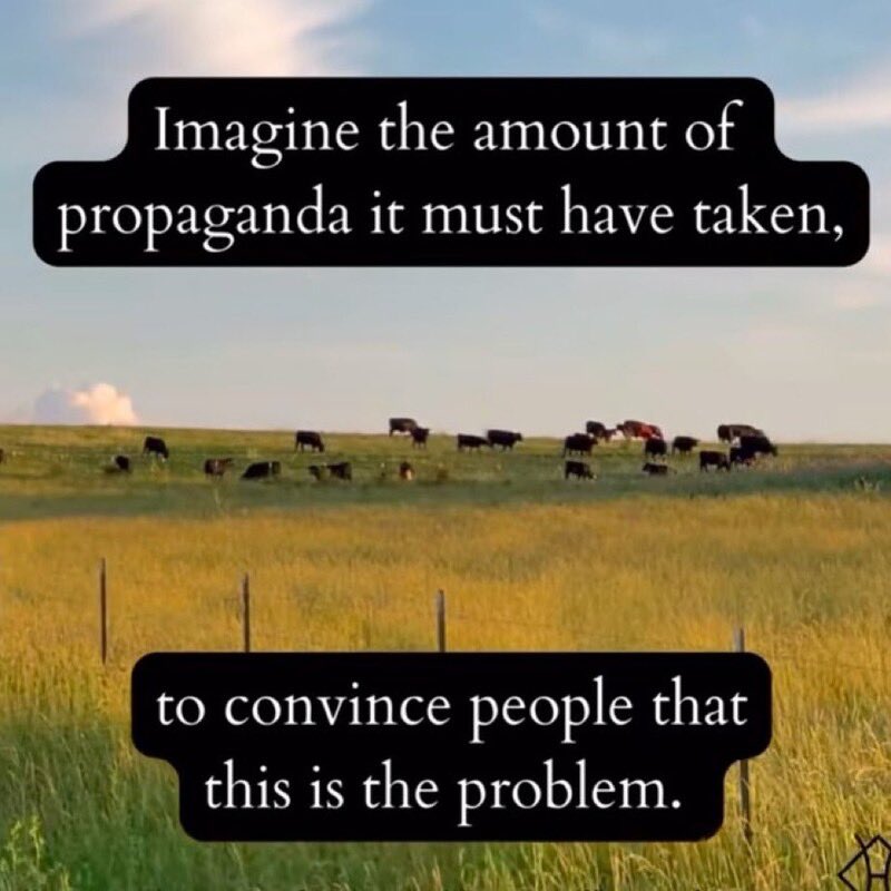 Imagine the amount of propaganda it took to convince people farmland and cows were the problem.